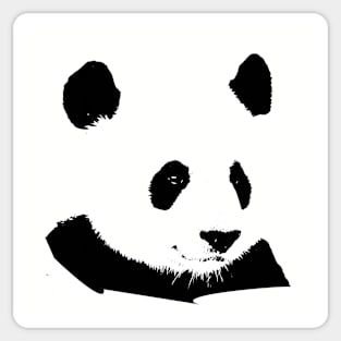 Panda Sticker